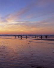 Beachcombers Near Haystack Rock at sunset; location for the film: The Goonies